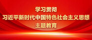 农夫与蛇AV中出学习贯彻习近平新时代中国特色社会主义思想主题教育_fororder_ad-371X160(2)